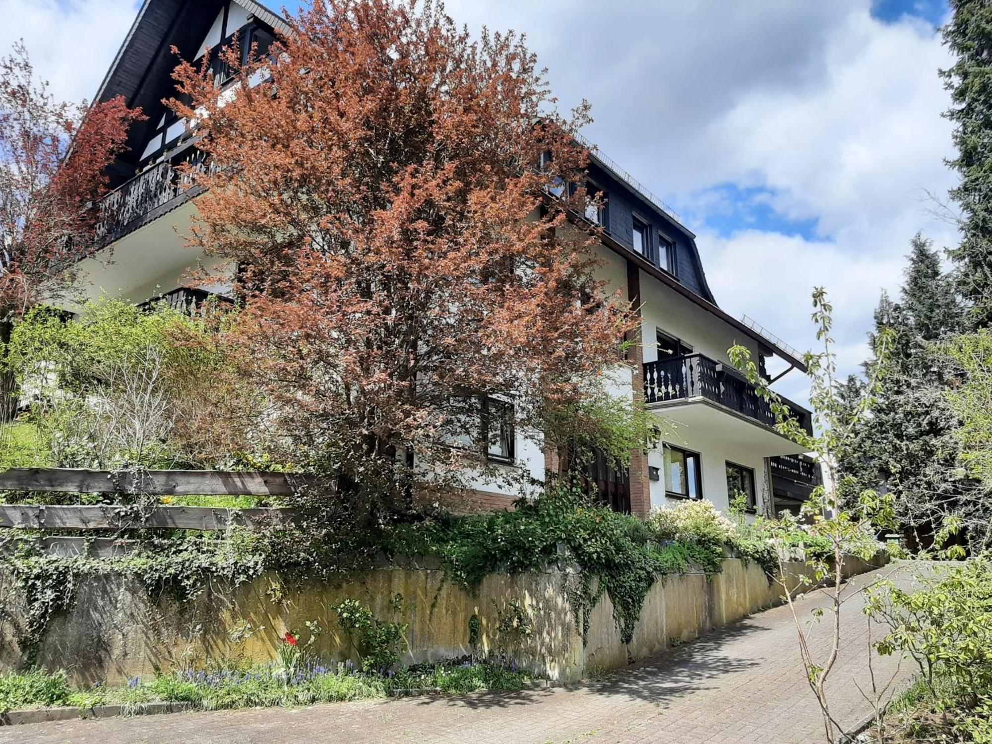 Ferienwohnung Bergblick Hallenberg Exterior foto